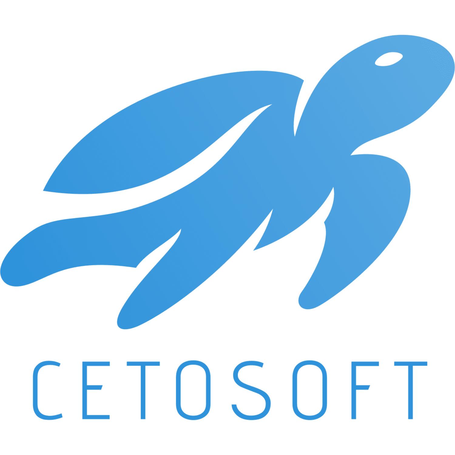 Cetosoft infotech private limited innovative software solutions